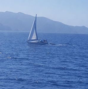 Meet your Posher, Albert